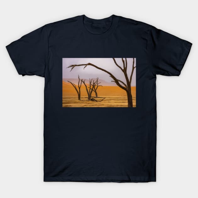 Namibia. Namib-Naukluft National Park. Deadvlei. Dead Trees. Fog. T-Shirt by vadim19